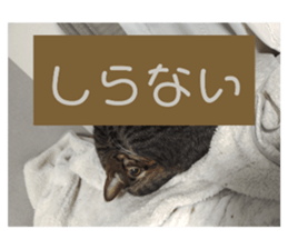 770296615