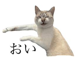 770307929