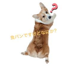 770310289