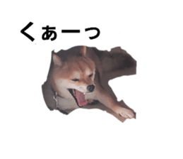 770310827