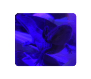 770311024