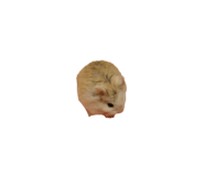 770311027