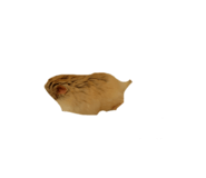 770311028