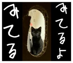 770313355