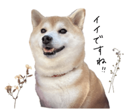 770317956