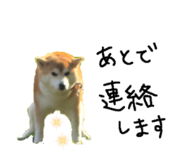 770317968
