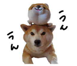 770317973