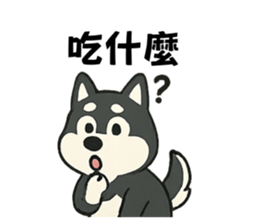 770324798