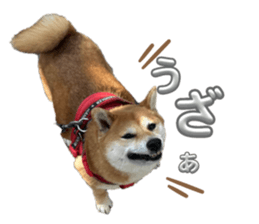 770330466