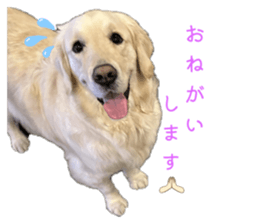 770330475