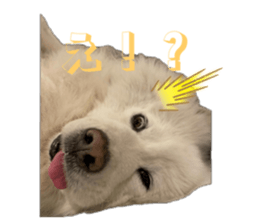770330486
