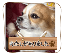 770332675