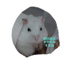 770348981