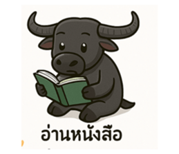 770378213