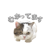 770386665