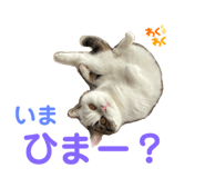 770386669