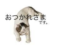770386672