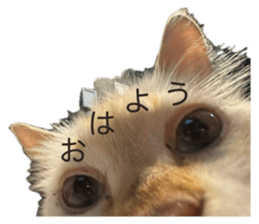 770390503