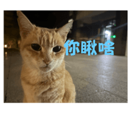 770401689