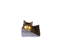 770403547