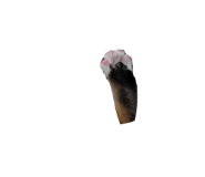770403552