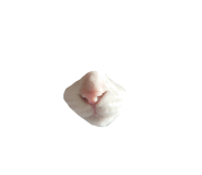 770403558