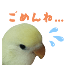 770406671