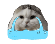 770406929