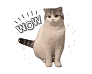 770406935