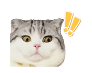 770406944