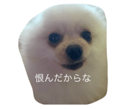 770411858
