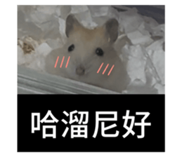 770413791
