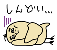 770427911