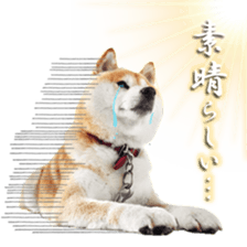 770437060