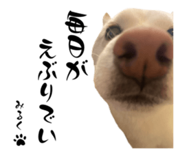 770437495