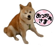 770437729