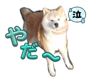 770437732