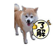 770437742
