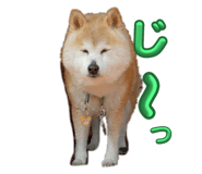 770437743
