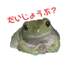 770444649