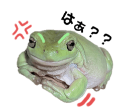 770444653