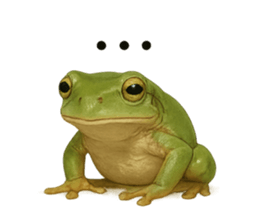 770444967