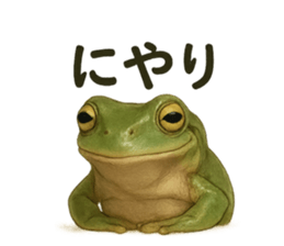 770444980