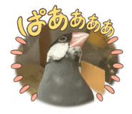770477502