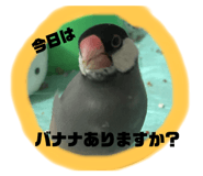 770477509