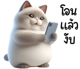 770480007