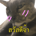 770485273