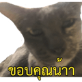 770485274