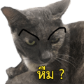 770485278