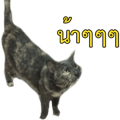 770485282